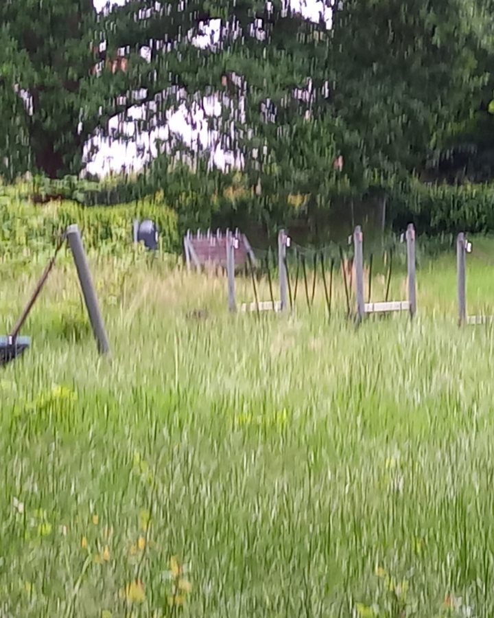 Leak-Bild